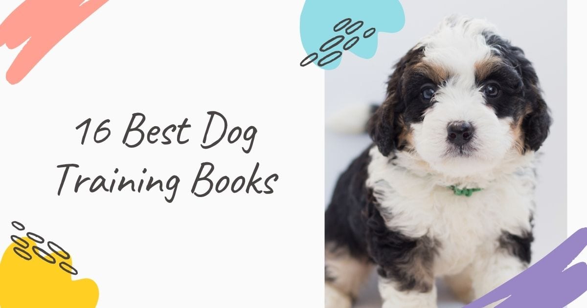 16 Best Dog Training Books