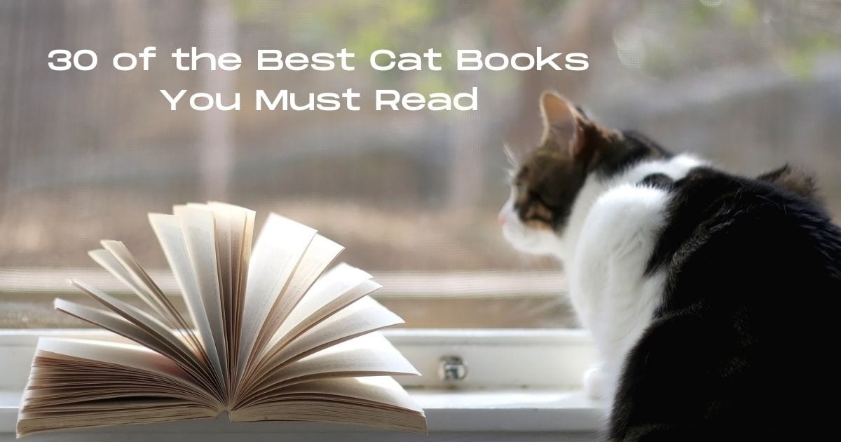 30 of the Best Cat Books You Must Read