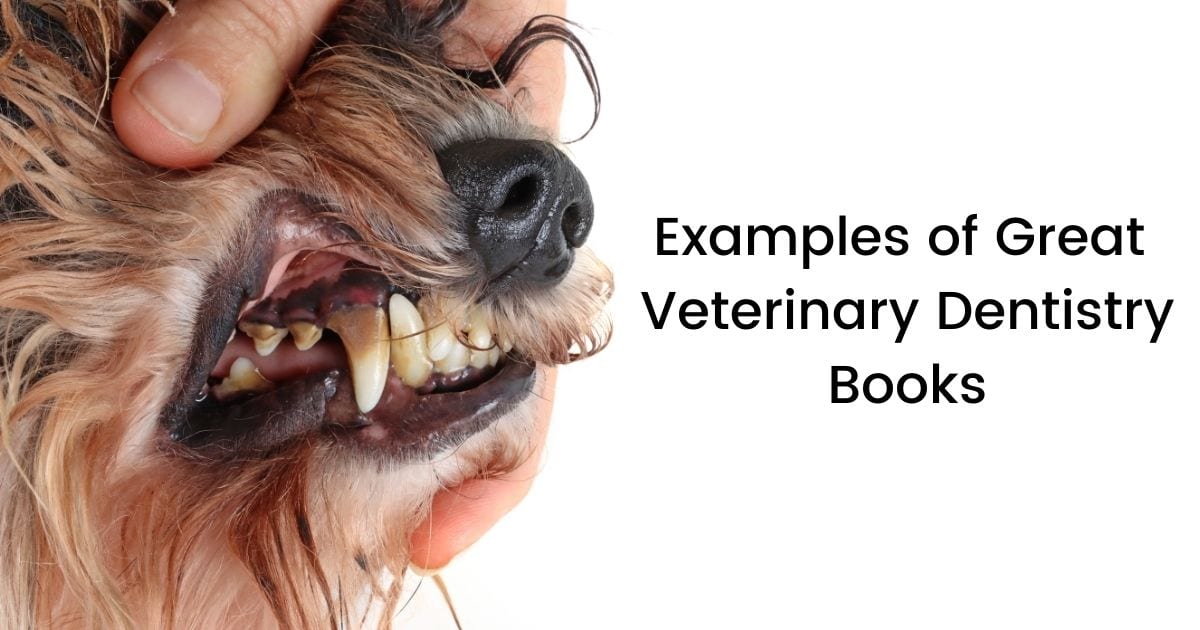 Examples of Great Veterinary Dentistry Books