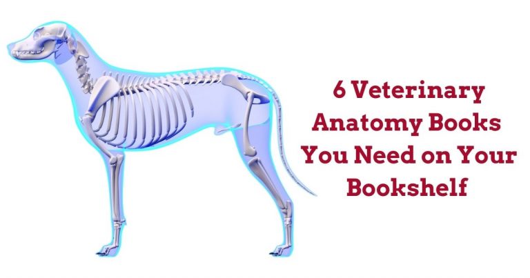 6 Veterinary Anatomy Books You Need on Your Bookshelf