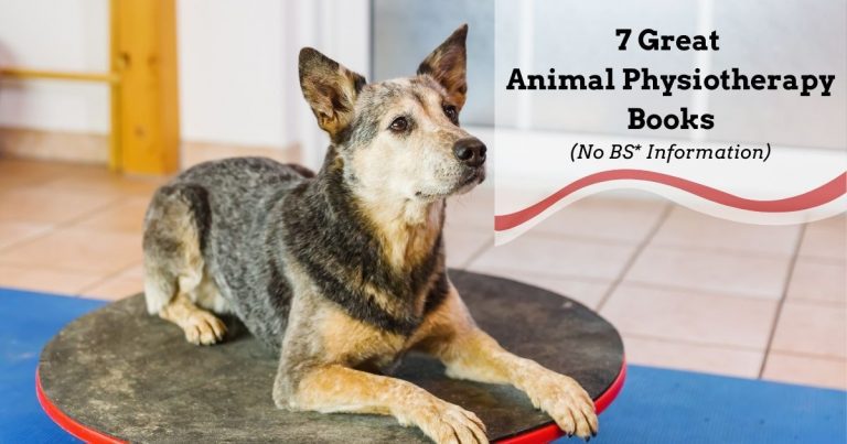 7 Great Animal Physiotherapy Books - (No BS* Information)