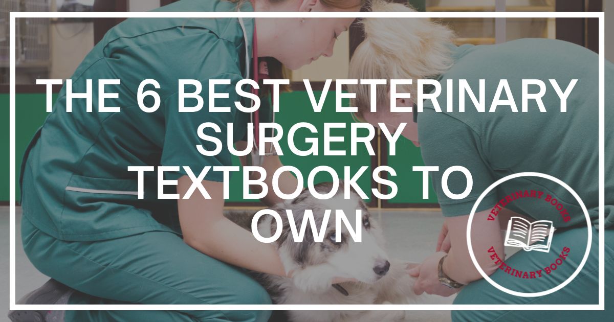 veterinary surgery